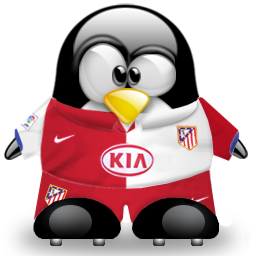 penguin pingouin pinguino 312
